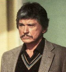 [Bronson Picture]
