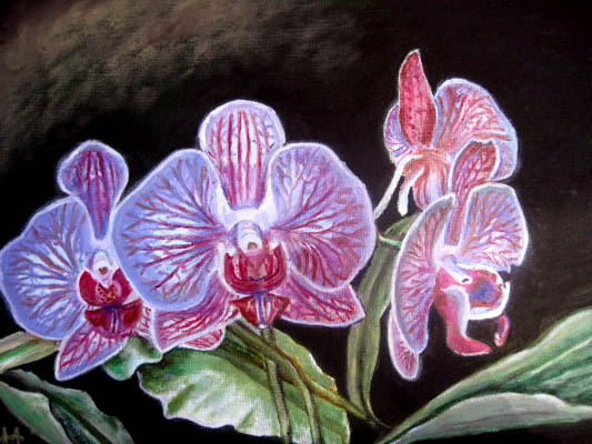 [2. Flowers]